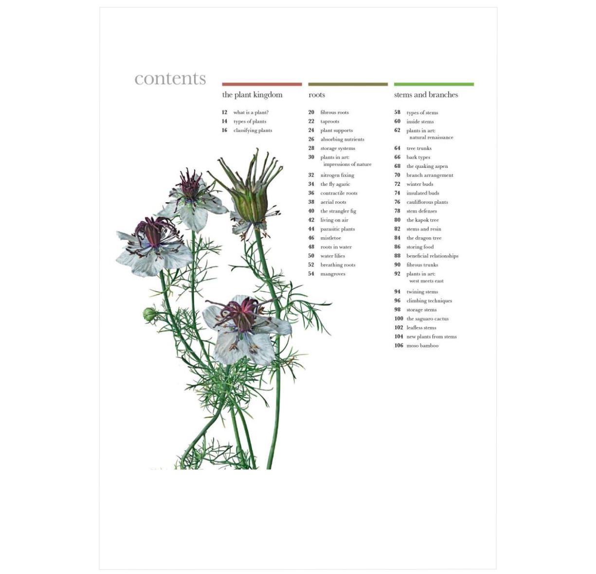 The Science of Plants: Inside Their Secret World (DK Secret World Encyclopedias)