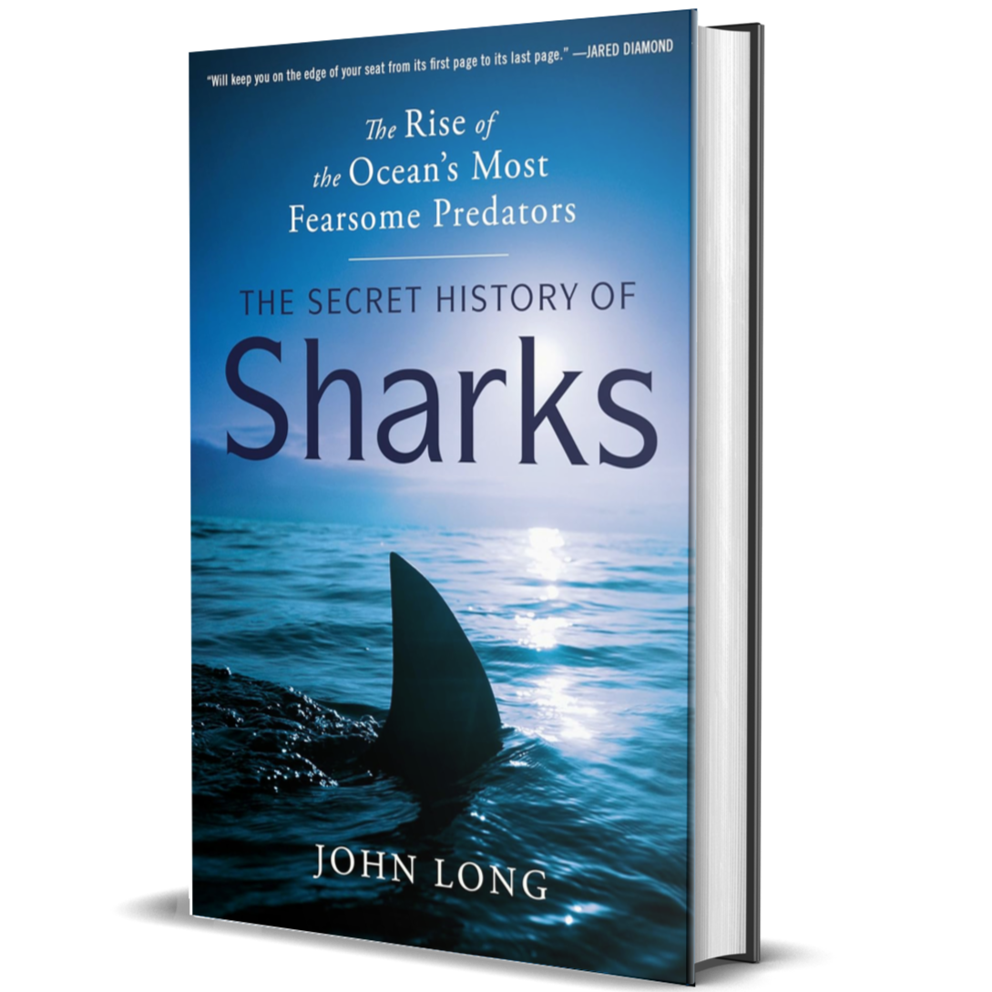 The Secret History of Sharks: The Rise of the Ocean's Most Fearsome Predators