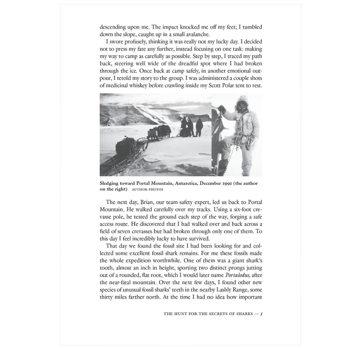 The Secret History of Sharks: The Rise of the Ocean's Most Fearsome Predators