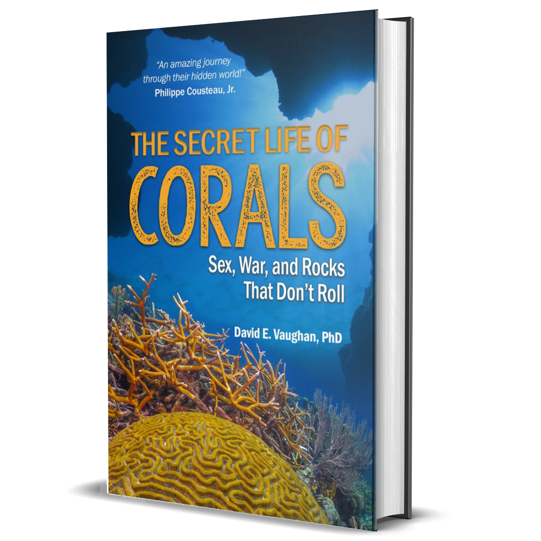 The Secret Life of Corals: sex, War and Rocks that Don’t Roll