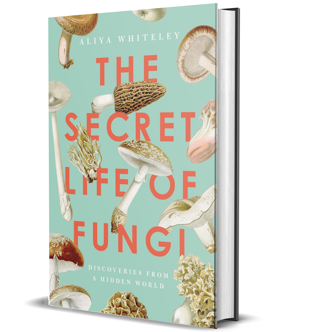 The Secret Life of Fungi: Discoveries From a Hidden World