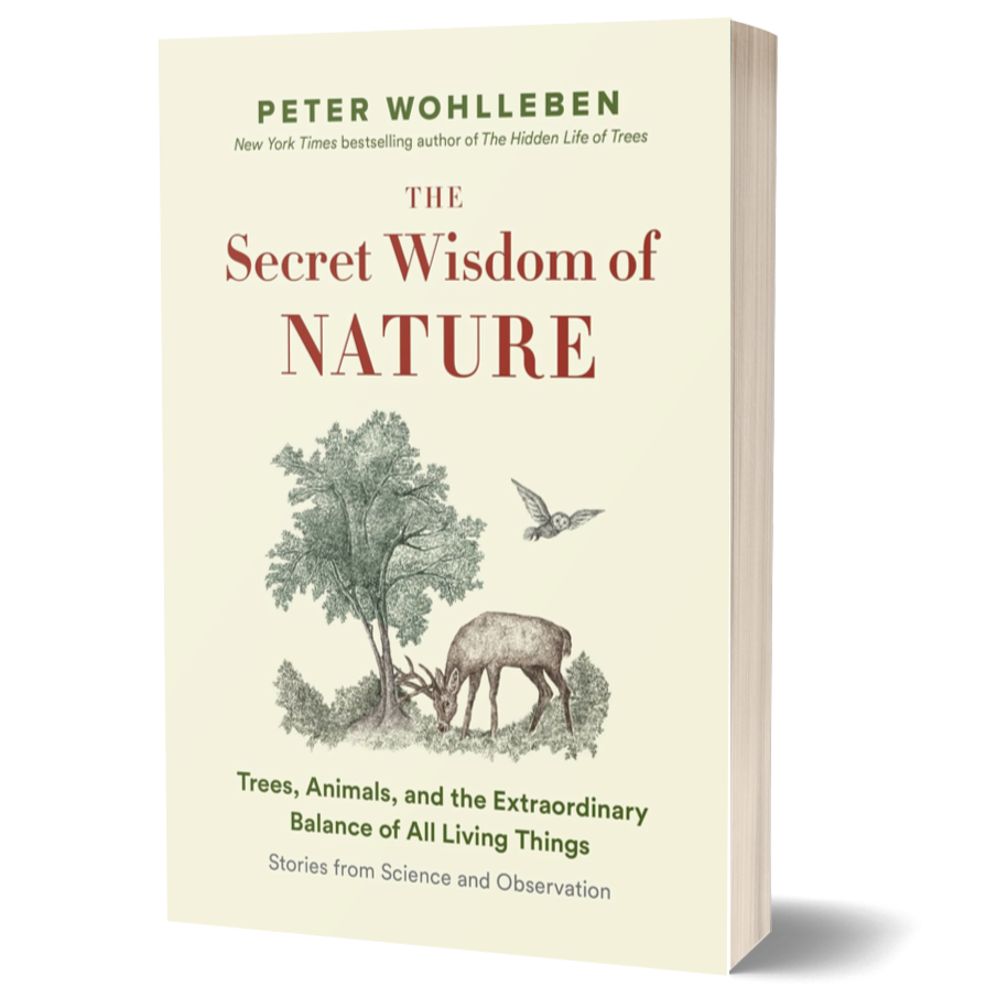 The Secret Network of Nature: Trees, Animals, and the Extraordinary Balance of All Living Things― Stories from Science and Observation (The Mysteries of Nature, 3)