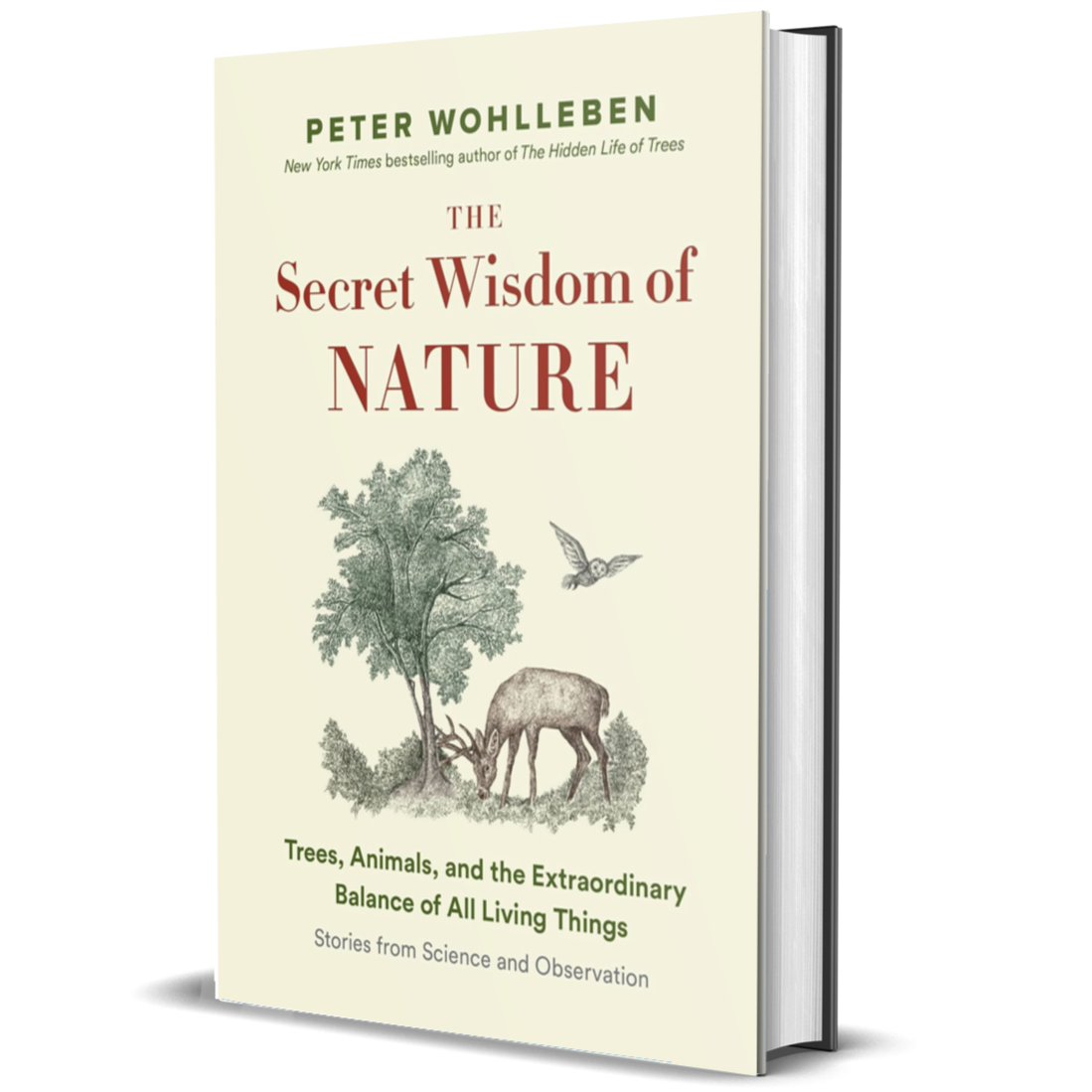 The Secret Network of Nature: Trees, Animals, and the Extraordinary Balance of All Living Things― Stories from Science and Observation (The Mysteries of Nature, 3)