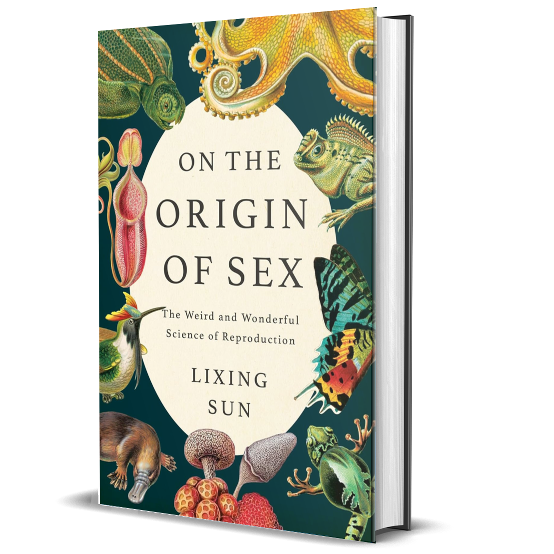 The Shortest History of the Dinosaurs: The 230-Million-Year Story of Their Time on Earth