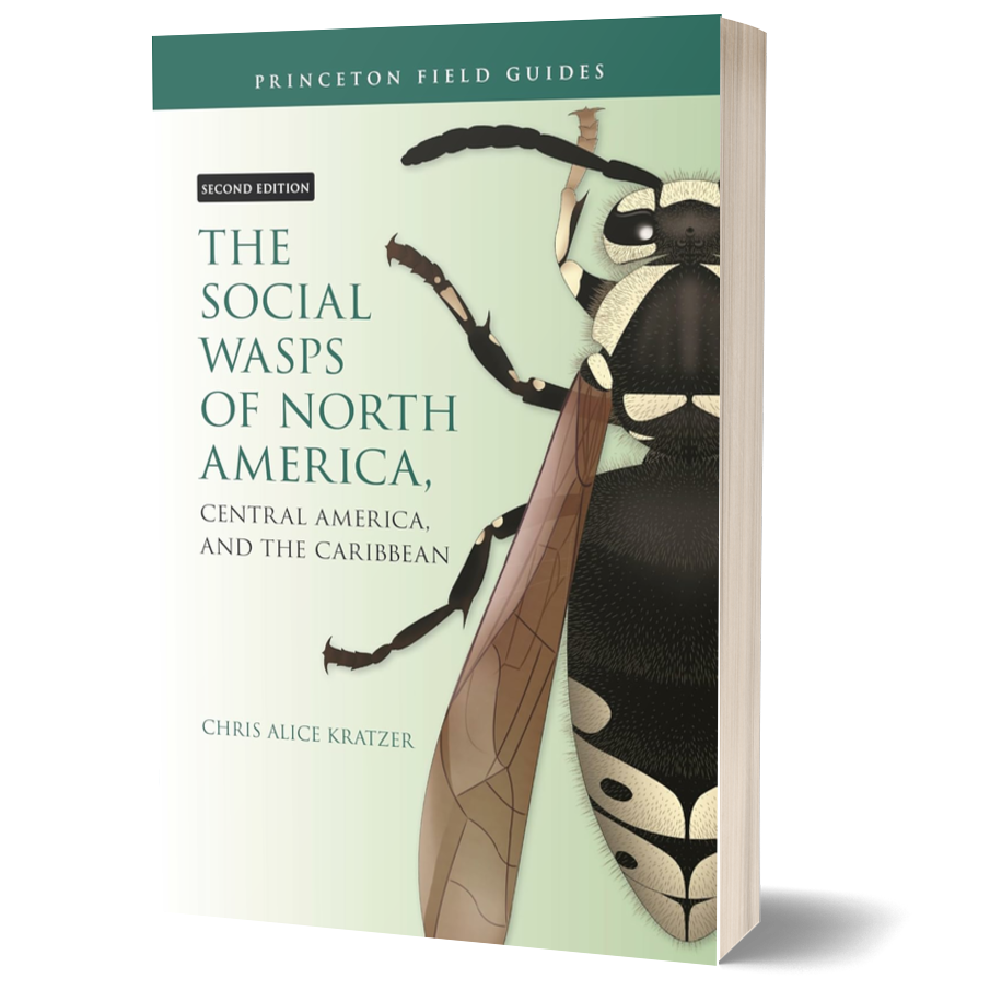 The Social Wasps of North America, Central America, and the Caribbean, Second Edition