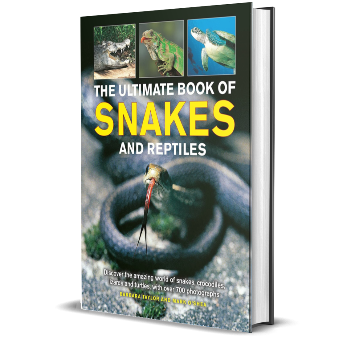 The Ultimate Book of Snakes and Reptiles: Discover the Amazing World o ...