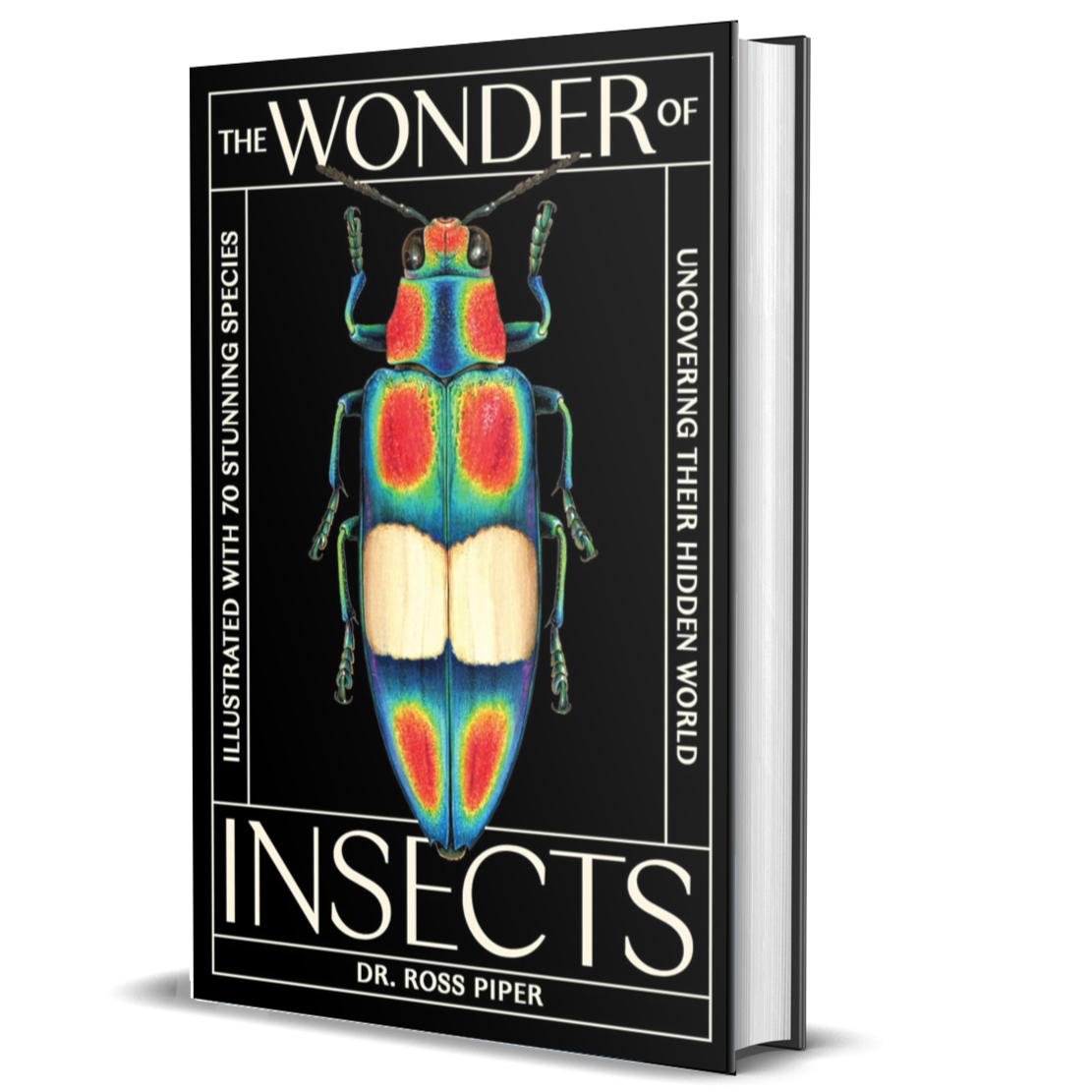 The Wonder of Insects: Uncovering Their Hidden World: Fully Illustrated with 70 Stunning Species
