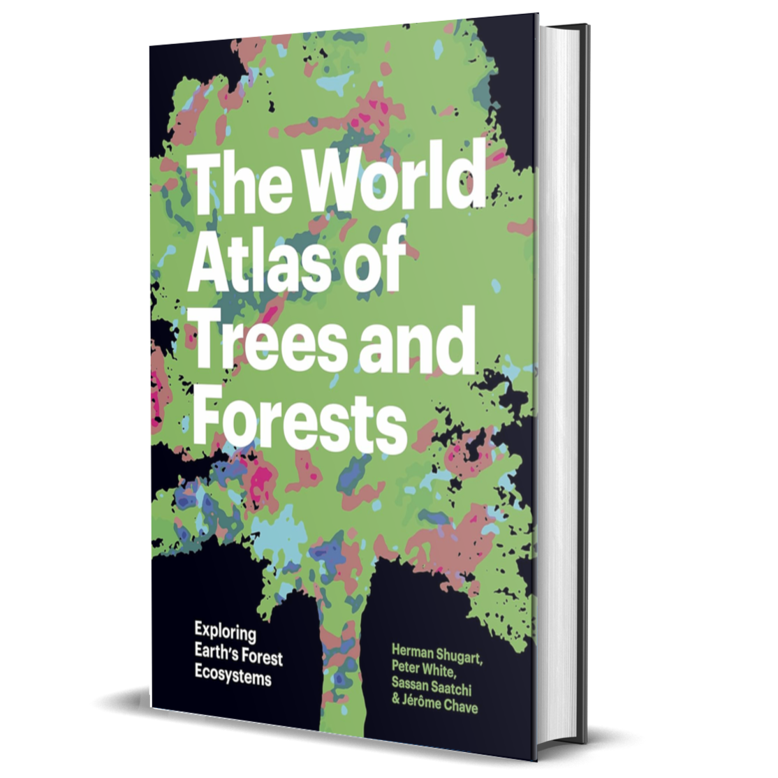 The World Atlas of Trees and Forests: Exploring Earth's Forest Ecosystems