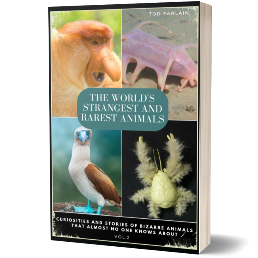 The World’s Strangest and Rarest Animals: Curiosities and Stories of Bizarre Animals That Almost No One Knows About | Weird and Unusual Creatures | Vol. 2 (How the World and Nature Is Made)