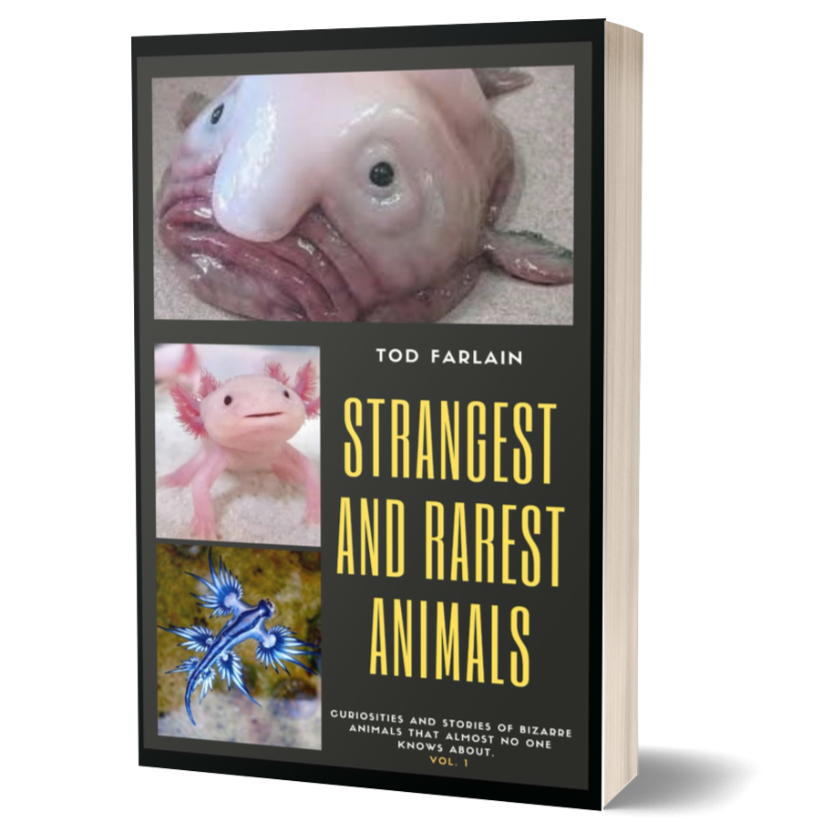 The World’s Strangest and Rarest Animals: Curiosities and Stories of Bizarre Animals That Almost No One Knows About | Weird and Unusual Creatures | Volume 1 (How the World and Nature Is Made)