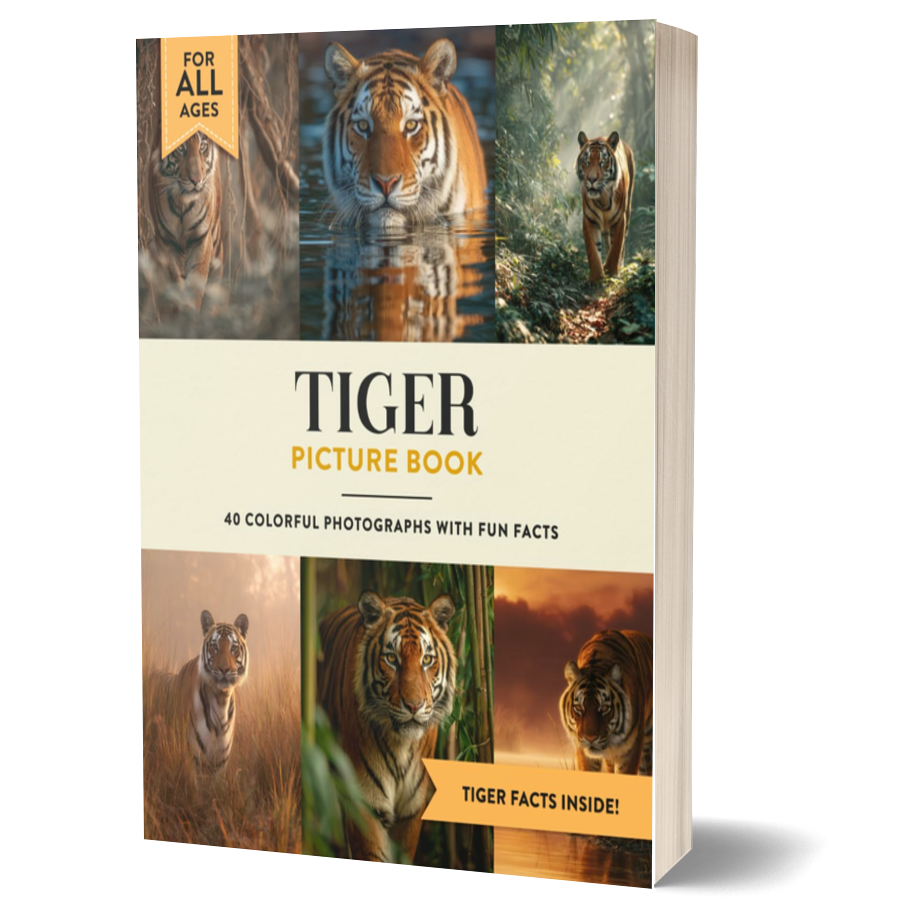 Tiger Picture Book: Learn All About Tigers with Fun Photos and Tiger Facts