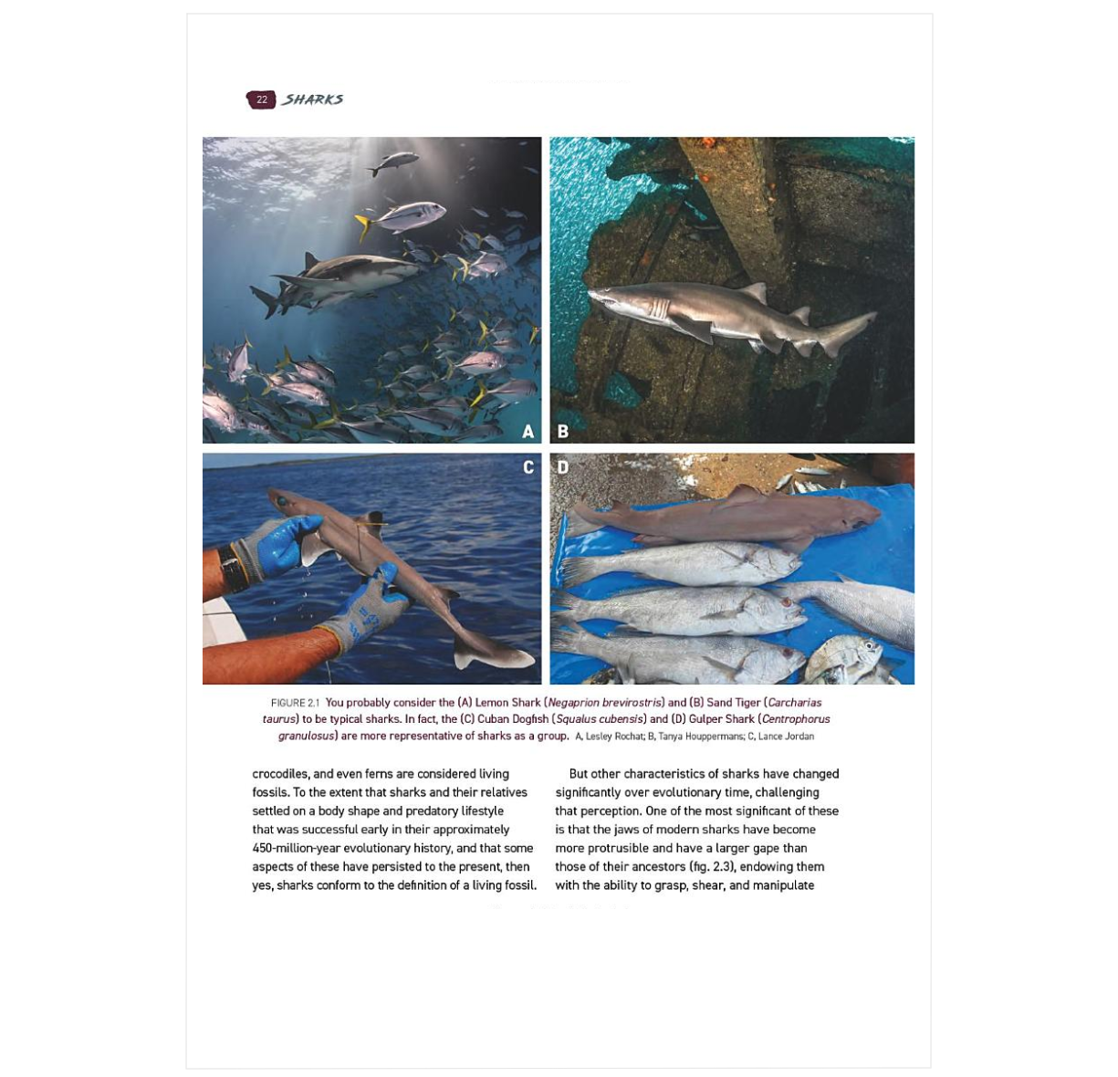 Tooth and Claw: Top Predators of the World