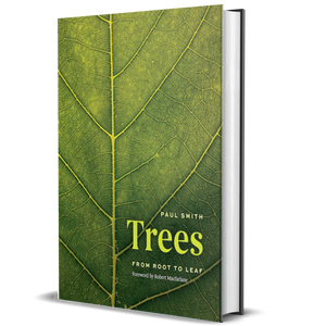 Trees: From Root to Leaf 