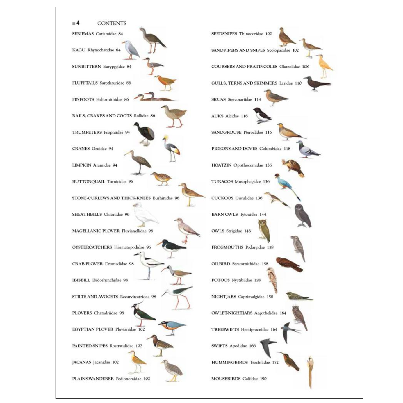 Turtles of the World | A Guide to Every Family