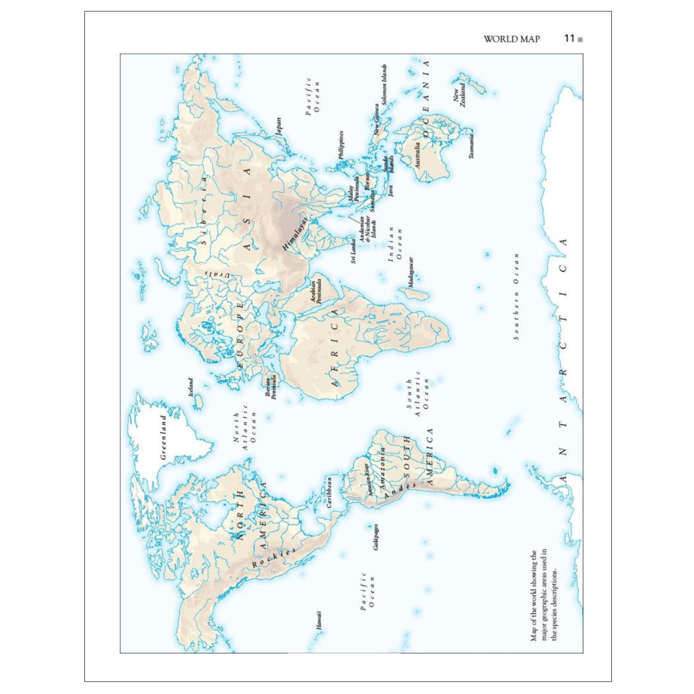 Turtles of the World | A Guide to Every Family