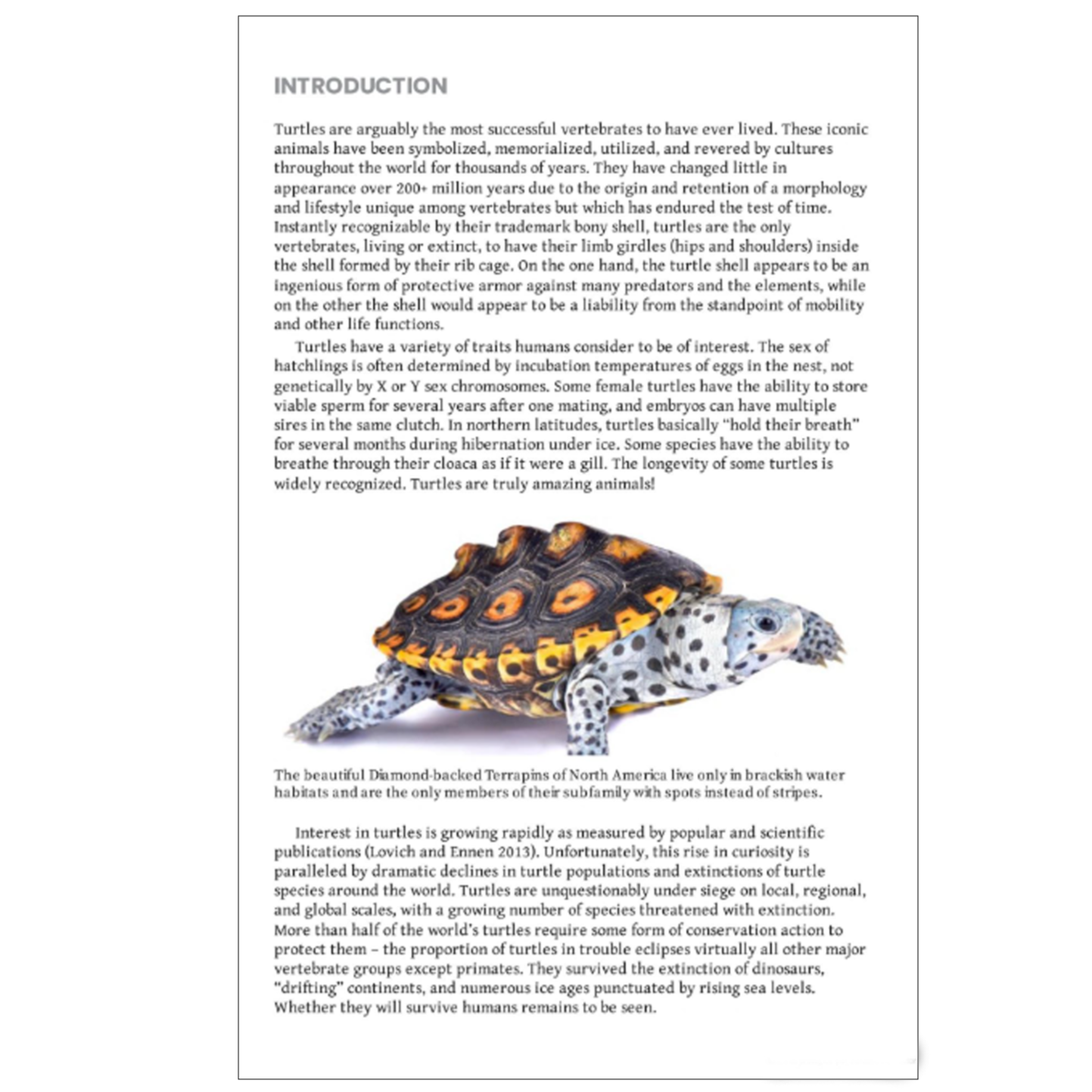Turtles of the World | A Guide to Every Family