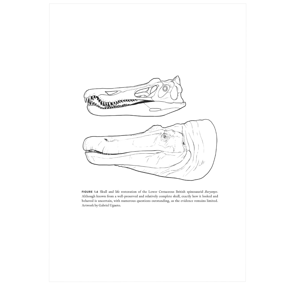 Uncovering Dinosaur Behavior: What They Did and How We Know