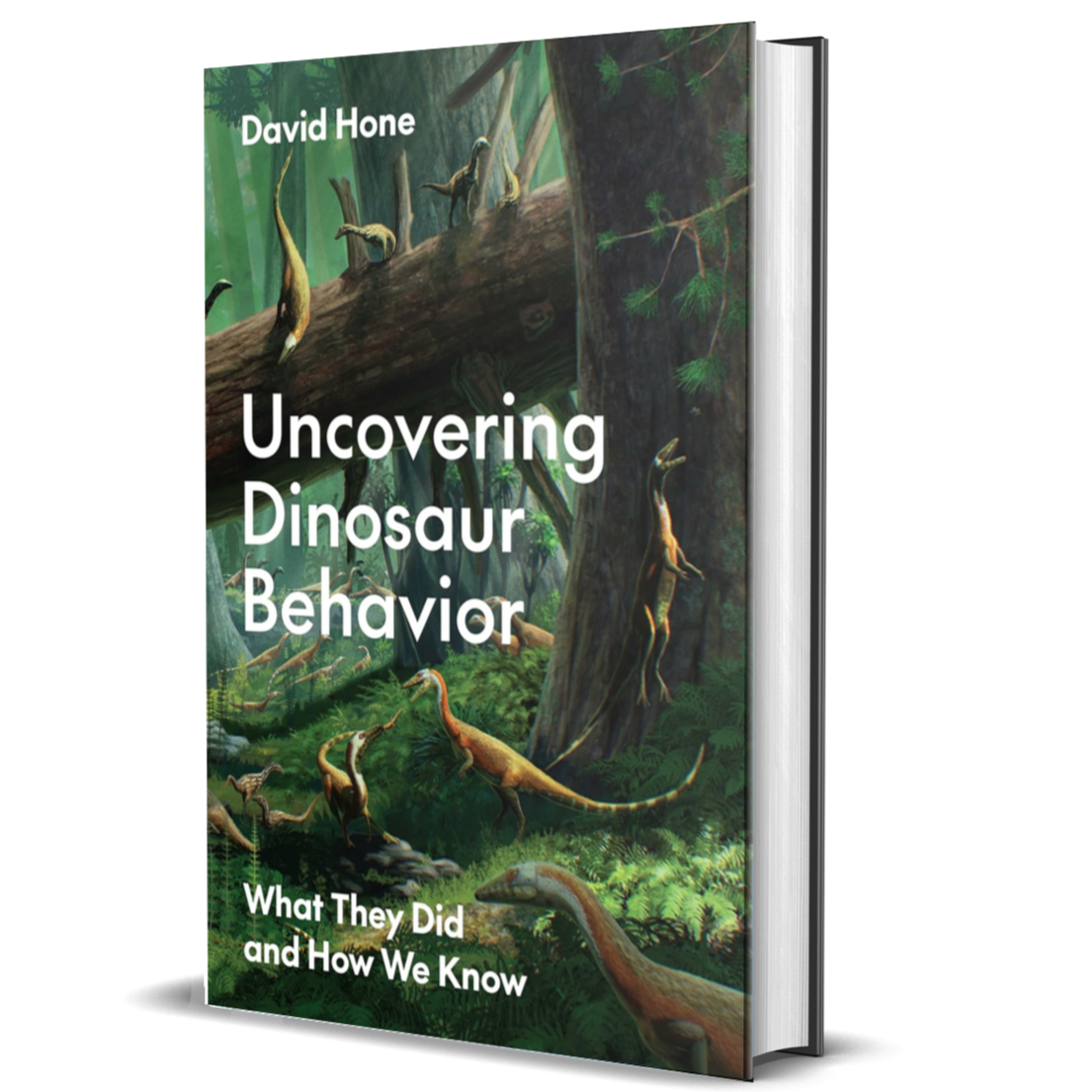 Uncovering Dinosaur Behavior: What They Did and How We Know