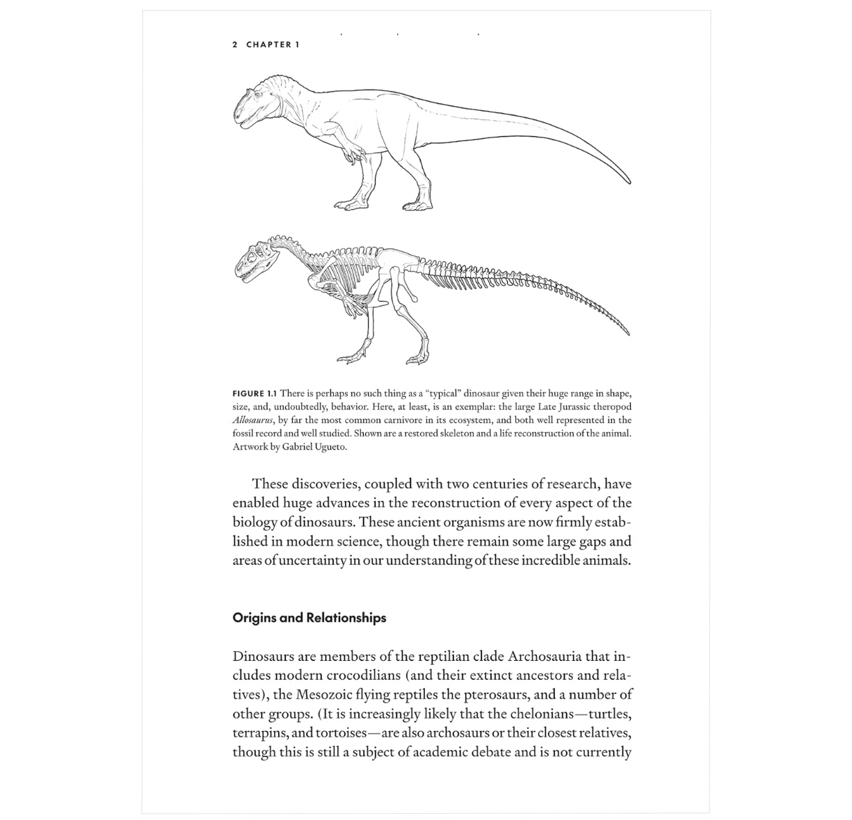 Uncovering Dinosaur Behavior: What They Did and How We Know
