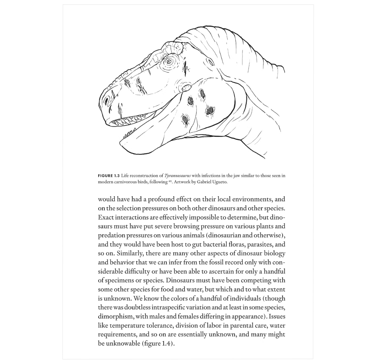 Uncovering Dinosaur Behavior: What They Did and How We Know