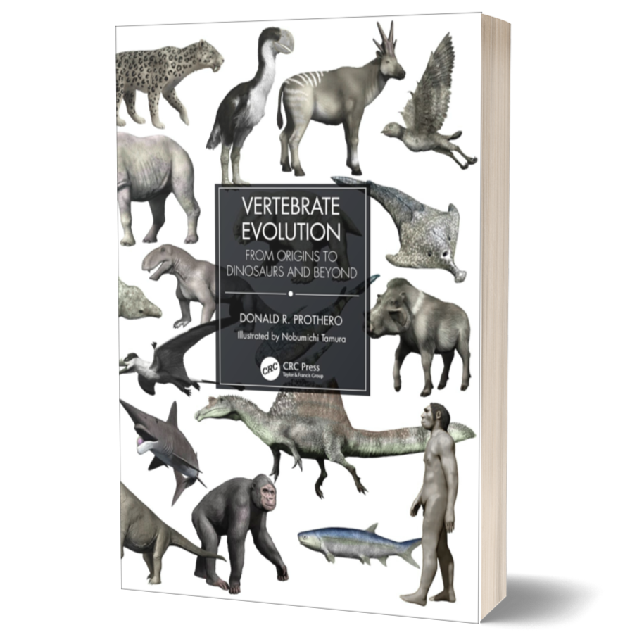 Vertebrate Evolution: From Origins to Dinosaurs and Beyond