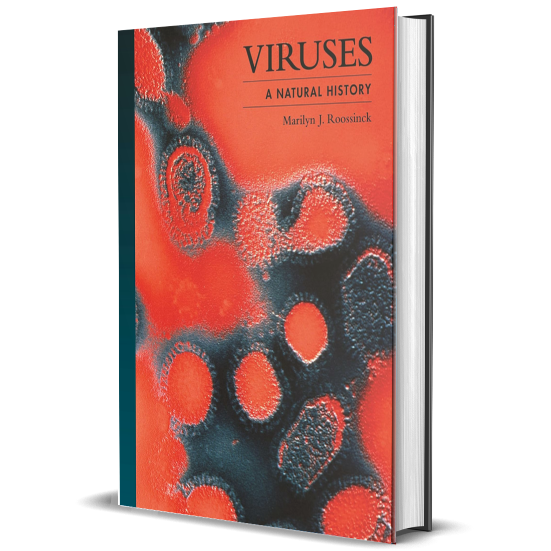 Viruses A Natural History BIOWEB Brasil Viruses a natural history bioweb brasil