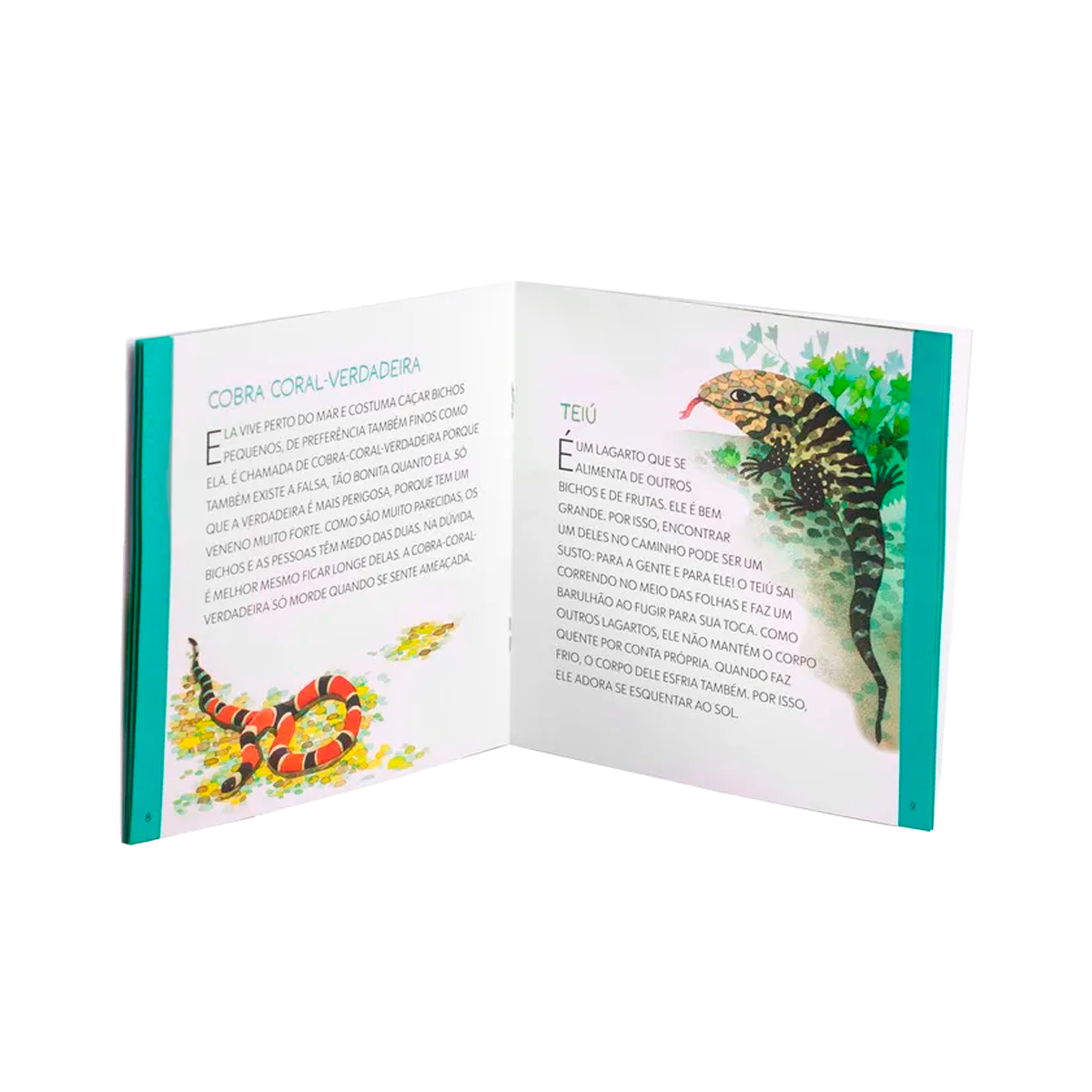 Viva a Mata Atlântica! (+3)