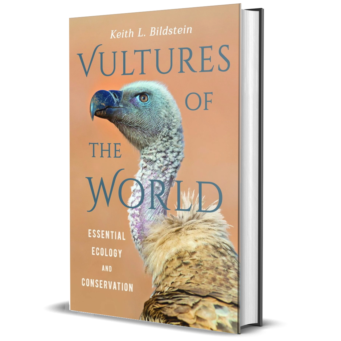 Vultures of the World: Essential Ecology and Conservation
