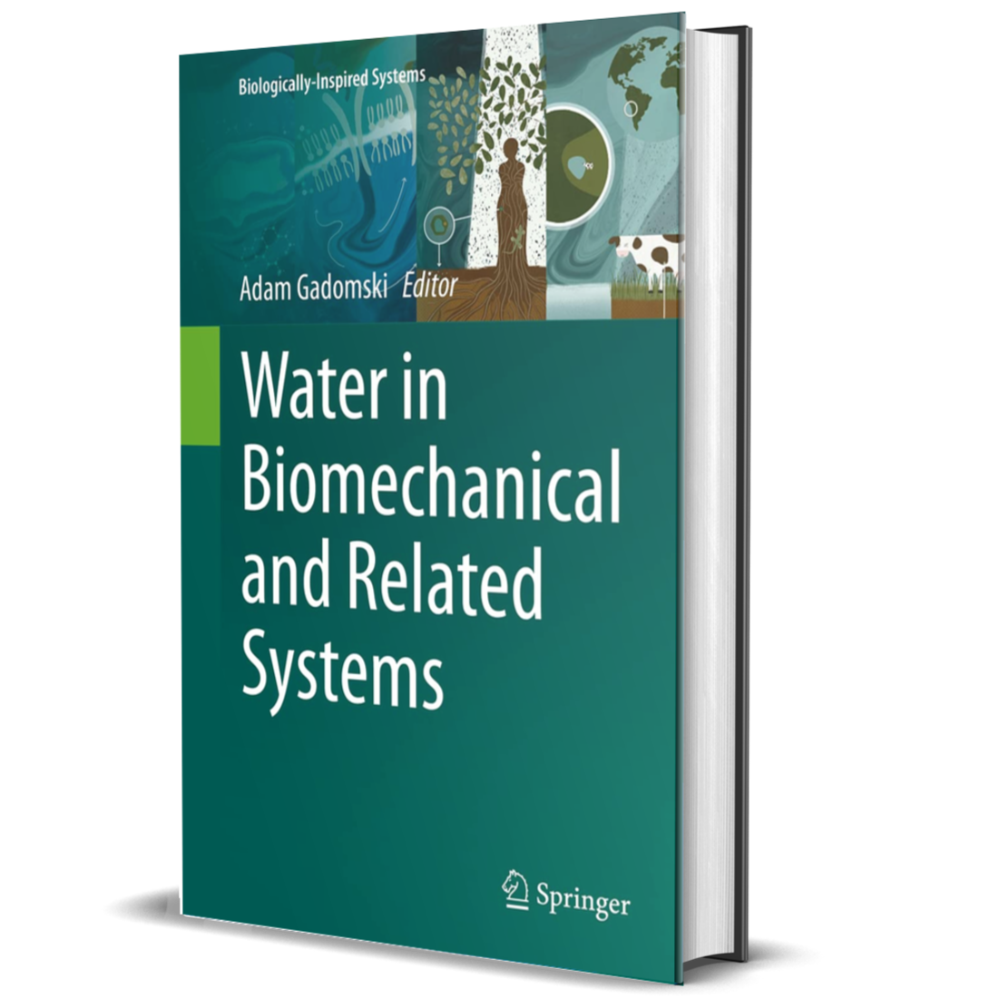 Water in Biomechanical and Related Systems (Biologically-Inspired Systems Book 17)
