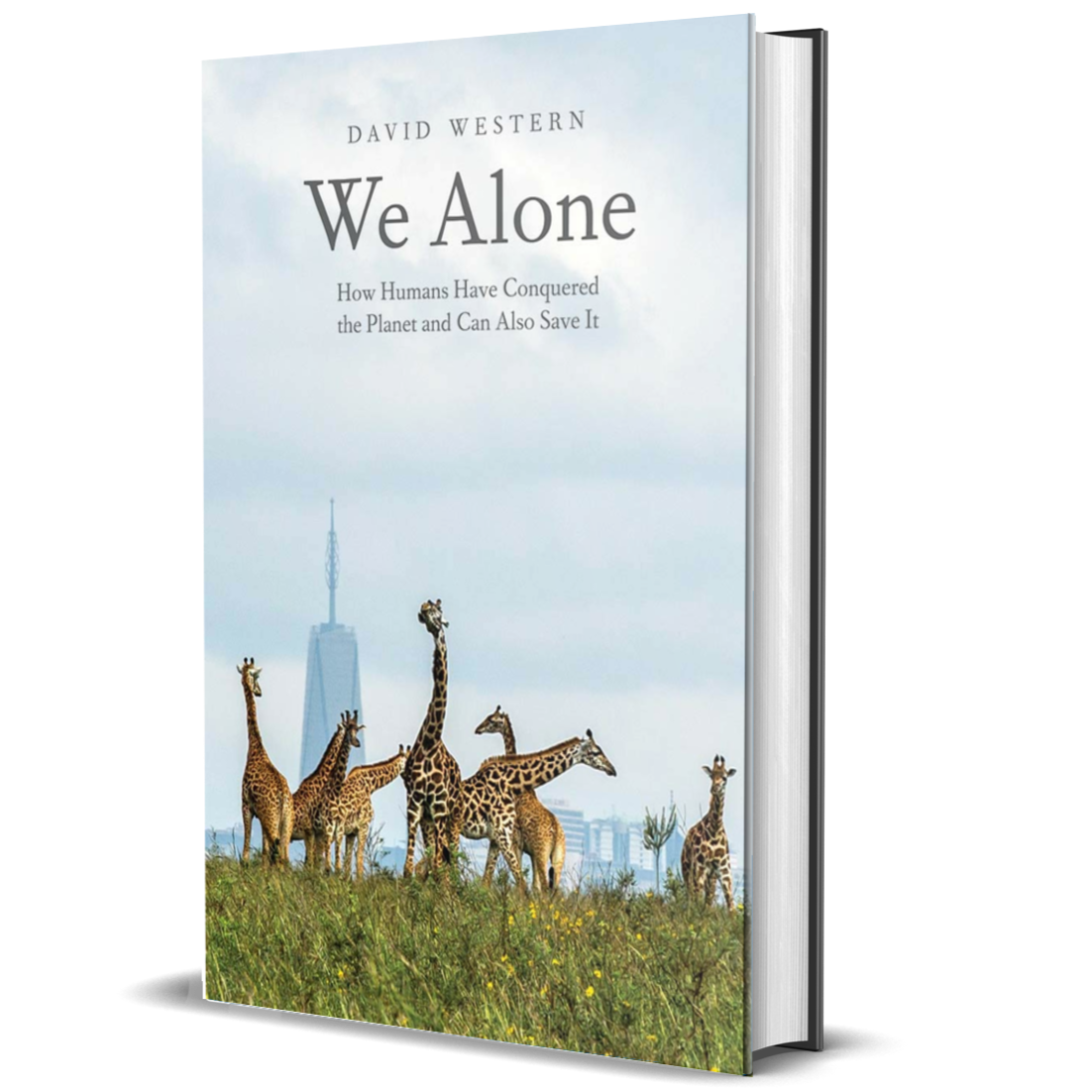 We Alone: How Humans Have Conquered the Planet and Can Also Save It