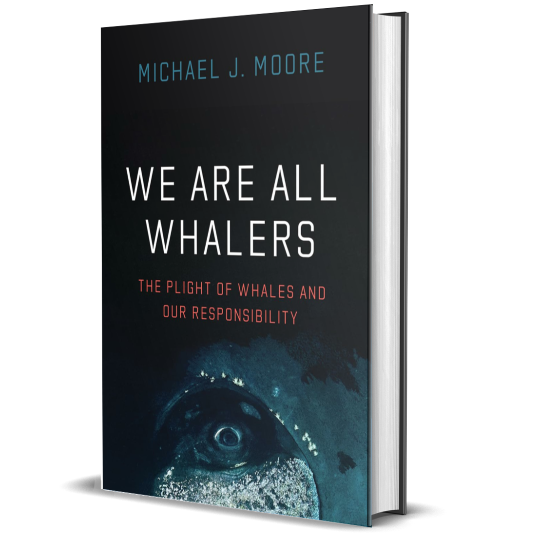 We Are All Whalers: The Plight of Whales and Our Responsibility