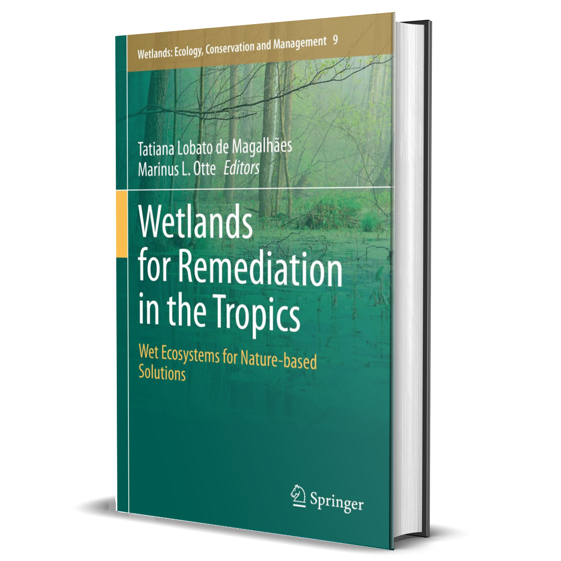 Wetlands for Remediation in the Tropics: Wet Ecosystems for Nature-based Solutions (Wetlands: Ecology, Conservation and Management, 9)