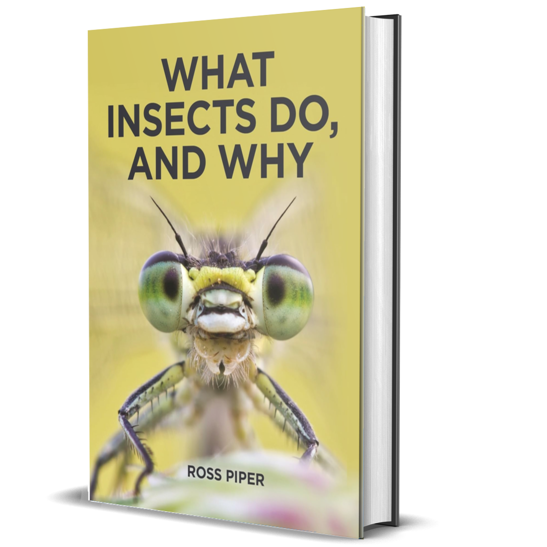 Do Limite Insect What Insects Do, and Why ²⁶ - BIOWEB Brasil