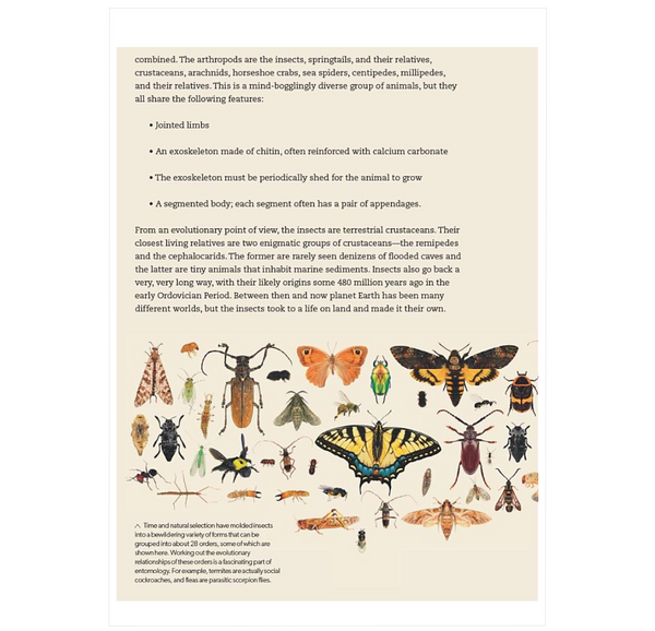 What Insects Do, and Why ²⁶ - BIOWEB Brasil