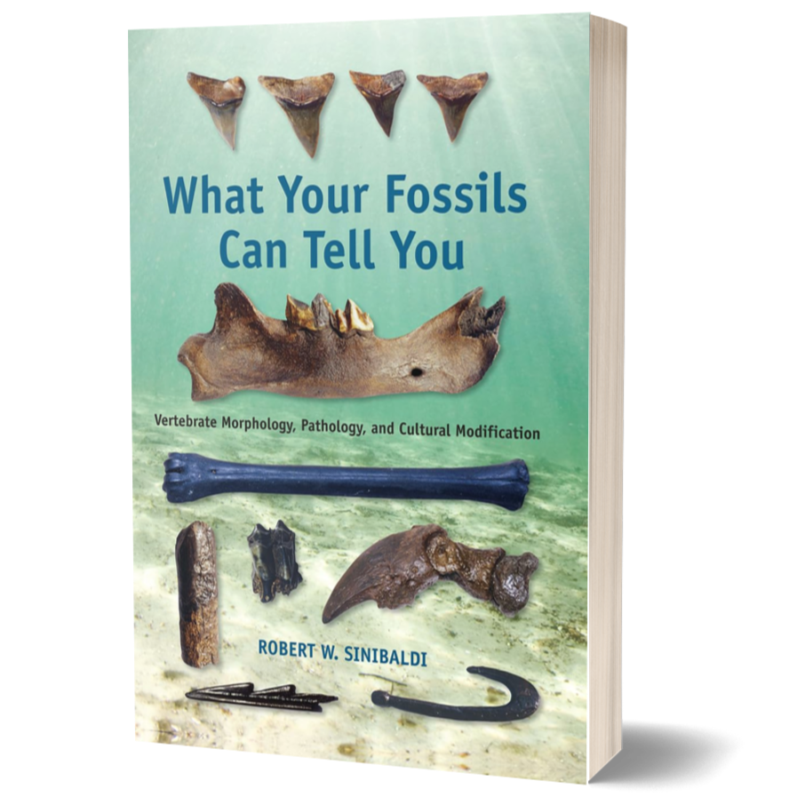 What Your Fossils Can Tell You: Vertebrate Morphology, Pathology, and Cultural Modification