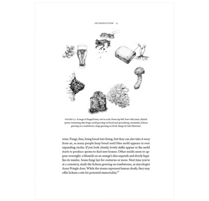What a Mushroom Lives For: Matsutake and the Worlds They Make