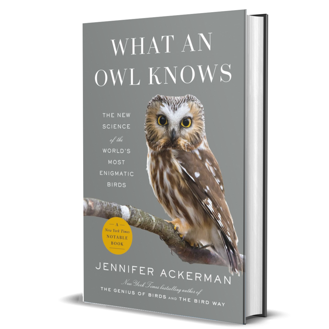 What an Owl Knows: The New Science of the World's Most Enigmatic Birds