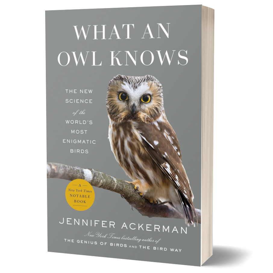 What an Owl Knows: The New Science of the World's Most Enigmatic Birds