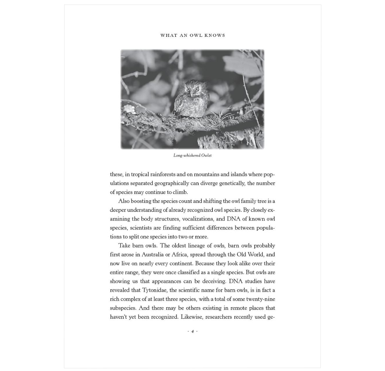 What an Owl Knows: The New Science of the World's Most Enigmatic Birds