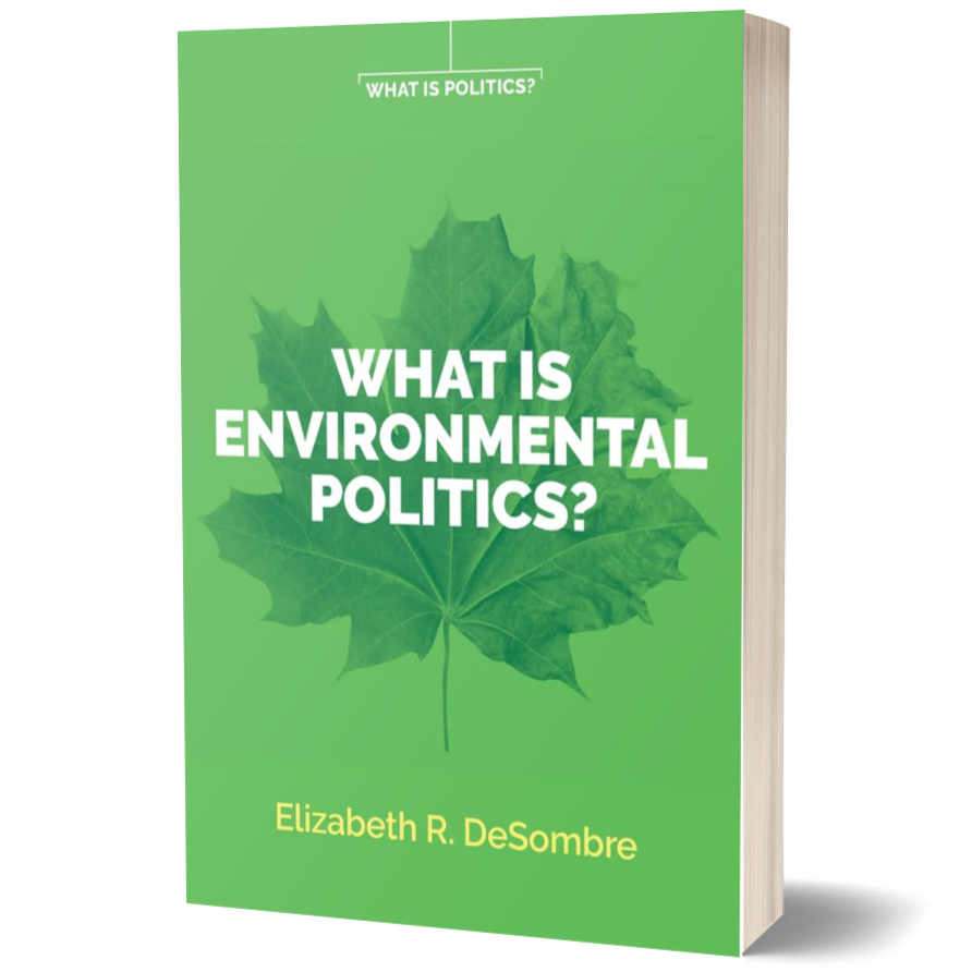 What is Environmental Politics?