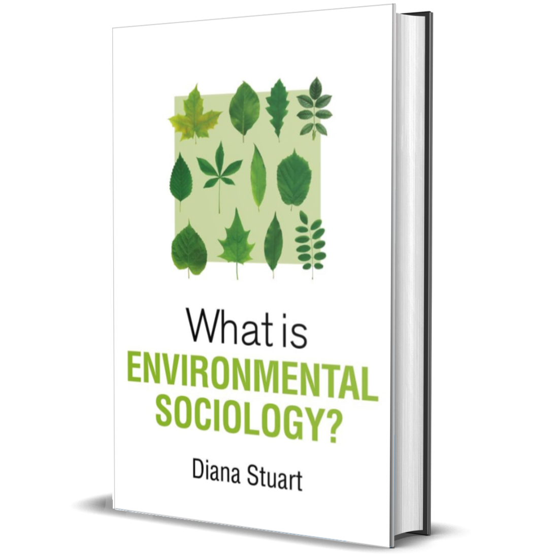 What is Environmental Sociology? (What is Sociology?)