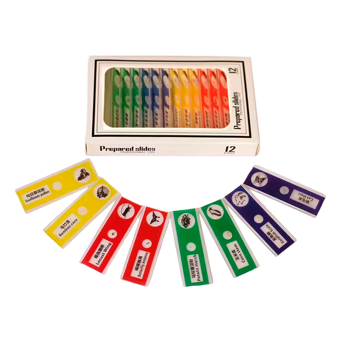 Microscópio de Bolso para Crianças: Brinquedo Científico Educativo com LED 60–120x (+6)