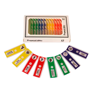 Microscópio de Bolso para Crianças: Brinquedo Científico Educativo com LED 60–120x (+6)