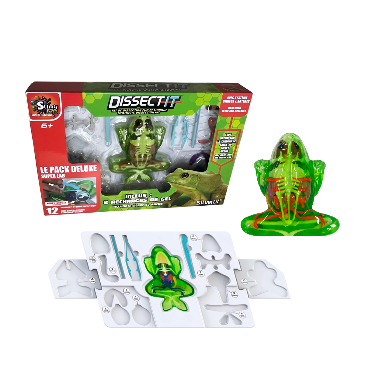 Brinquedo de Dissecação Sintética Dissect-It Kit de Zoologia Biologia Anatomia para Crianças  (+ 6 )