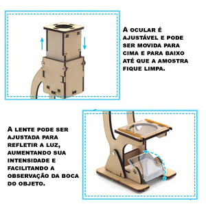 Kit de Modelo de Microscópio (+6)
