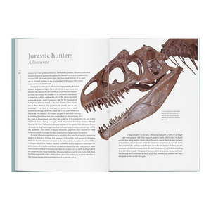 A History of Dinosaurs in 50 Fossils ²⁵