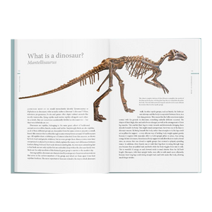 A History of Dinosaurs in 50 Fossils ²⁵