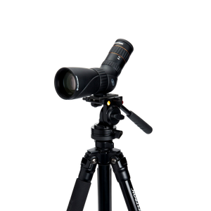 Lunetas Celestron Hummingbird