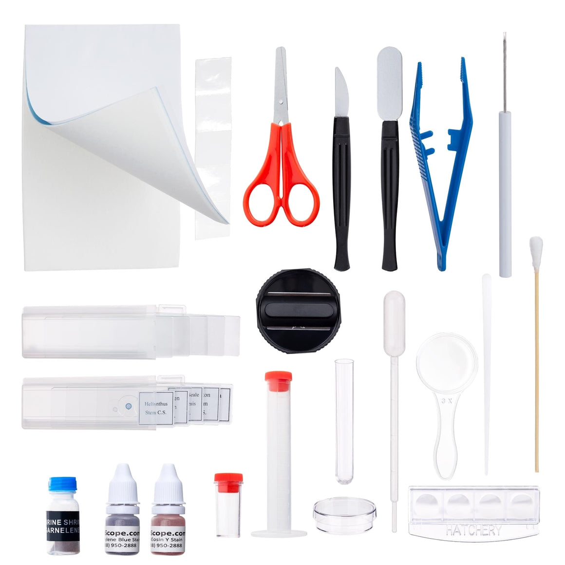 Kit de Lâminas de Microscópio AmScope x40 Un