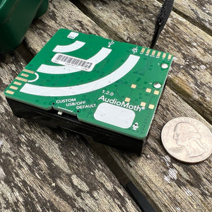Audiomoth, Gravador para Fauna de Código Aberto